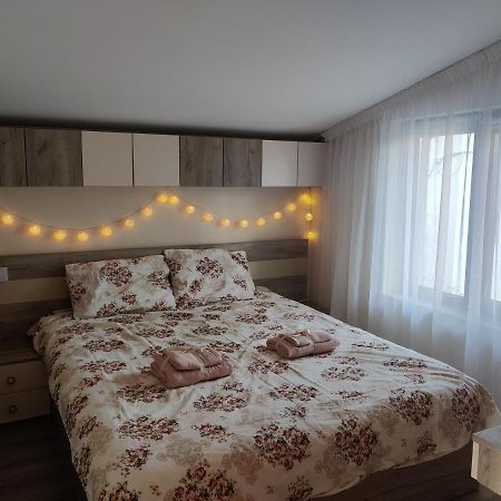 Zen Studio Slatina Slatina  Extérieur photo